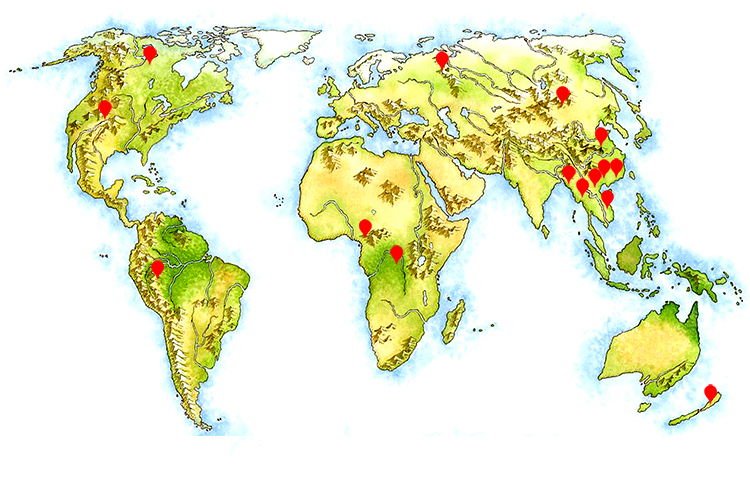 ȫ���֘I�YԴ�ֲ��D